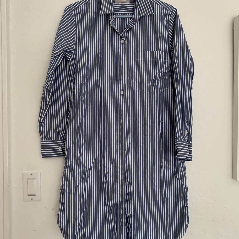 Everlane Shirtdress